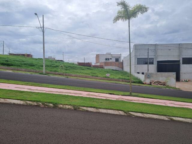 #1179 - Área para Venda em Arapongas - PR - 2
