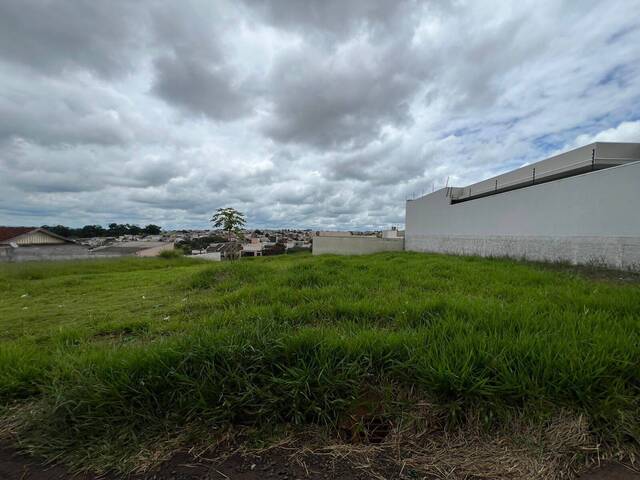 #1238 - Área para Venda em Arapongas - PR - 2