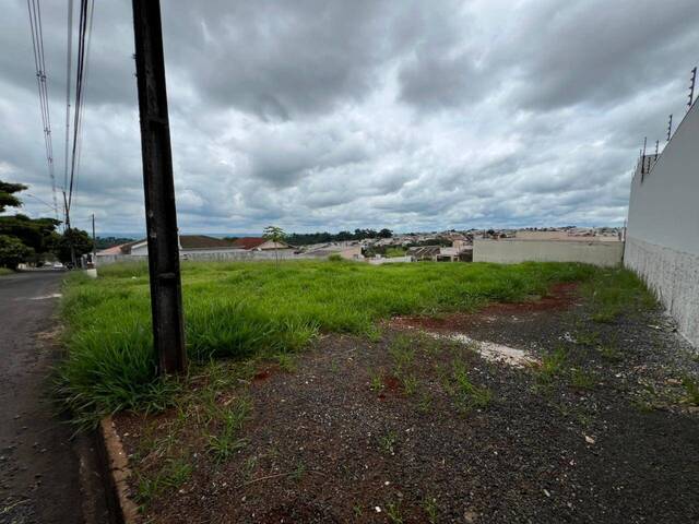 #1238 - Área para Venda em Arapongas - PR - 3