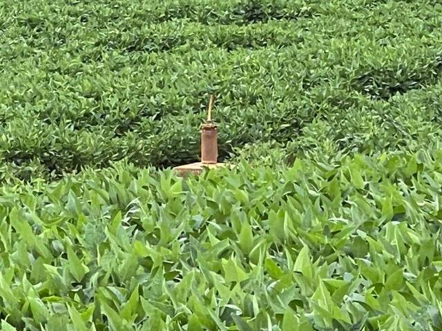 #1240 - Área para Venda em Arapongas - PR - 2