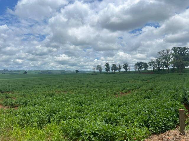 Área para Venda em Arapongas - 5