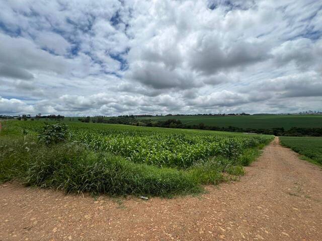 #1241 - Área para Venda em Arapongas - PR - 2