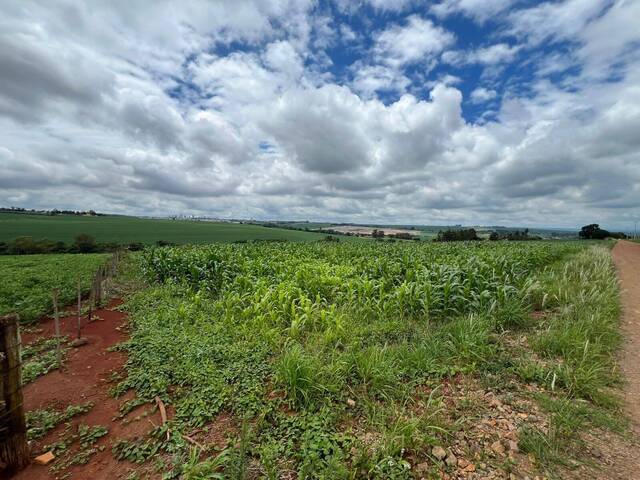 Área para Venda em Arapongas - 4