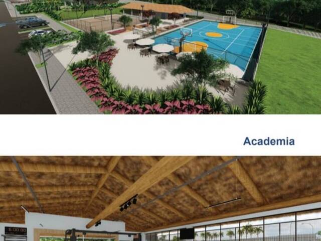 #1252 - Área para Venda em Porto Rico - PR - 3