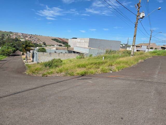 Área para Venda em Arapongas - 5