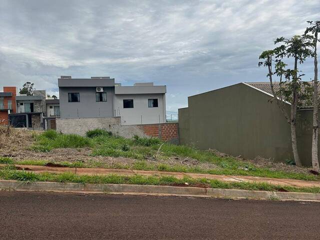 Área para Venda em Arapongas - 3